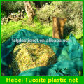 high quality hdpe harvest olive net for collecting olive